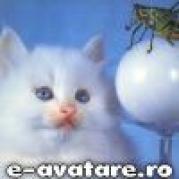 avatare_gratuite_70bc518bc89058a1a3f2a46a49730613