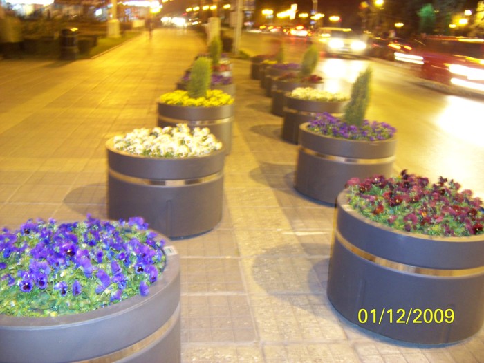 100_6065 - 1 Decembrie Timisoara