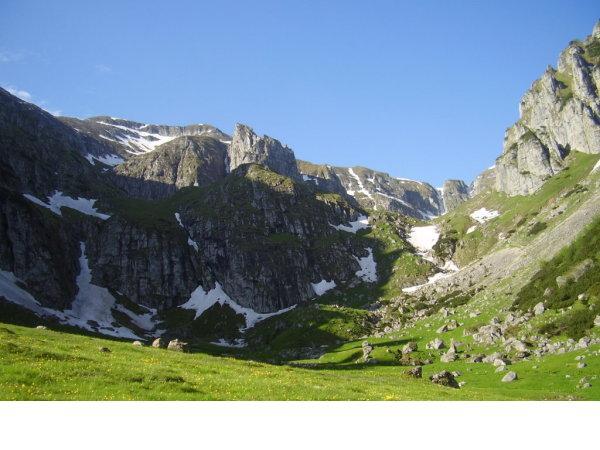 3312818d_0020000162548_00_600