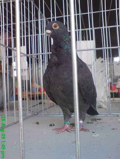 DSC05199