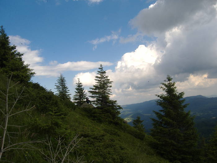 DSCF6174