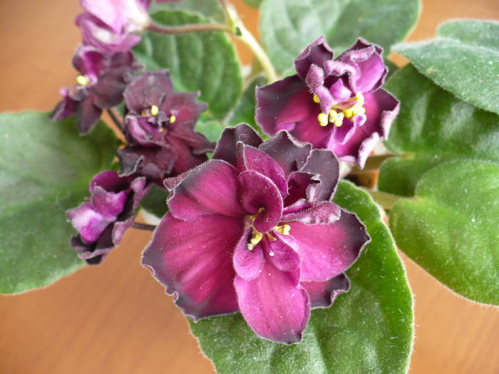P1100351