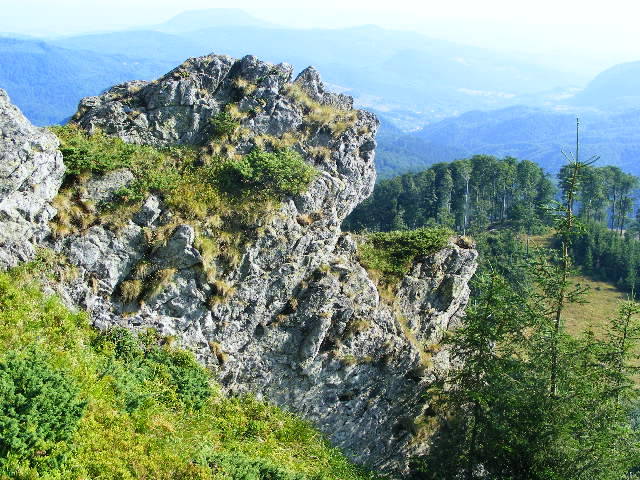 DSCF4493