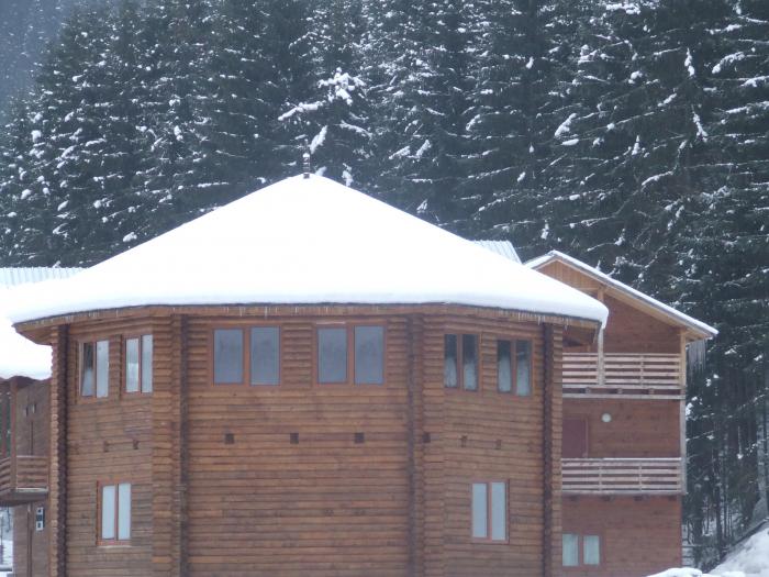 DSCF4753 - poiana zinelor