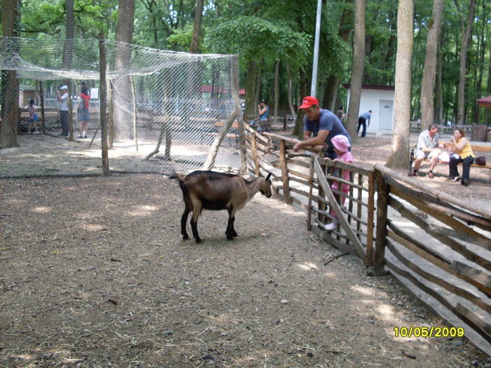 SDC10108 - Gradina zoologica tm