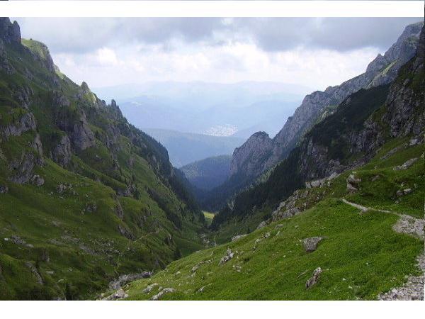 33123061_0020000162571_00_600