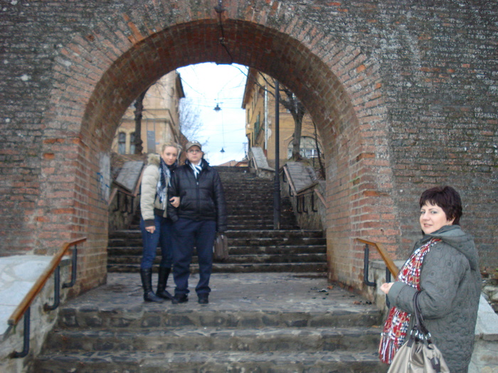 DSC06260 - 2010 REVELION SIBIU