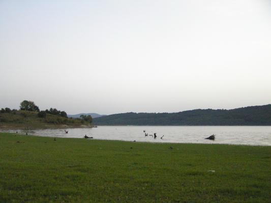 P8190049