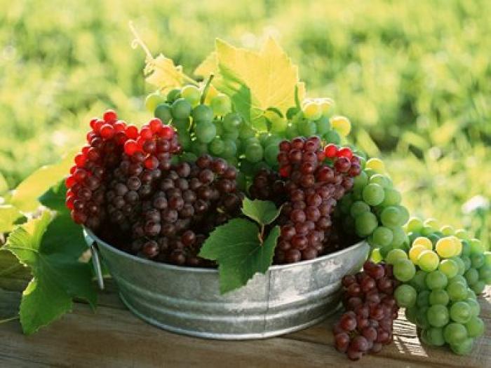 Grapes-3-TWKFUG6UZ7-1024x768 - fructe