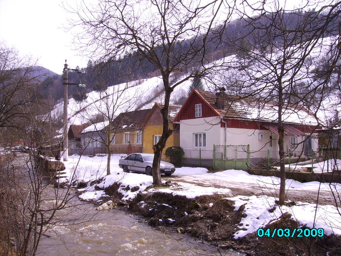 IMG_6050 - 2009 Iarna martie Lozna