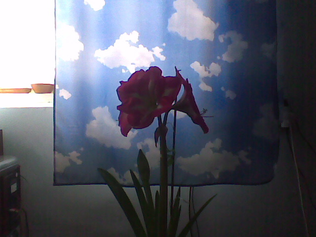 Imag033