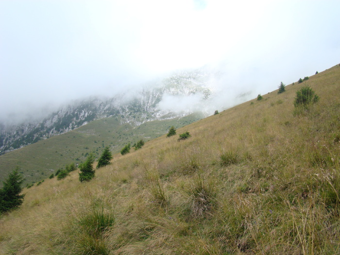 DSC04136 - Piatra Craiului August 2009 Valea Crapaturii