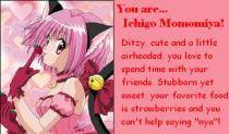 JDMRDRDYQKQTBLBSXTD - echipa mew mew