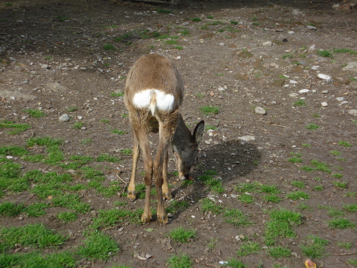 Picture 089