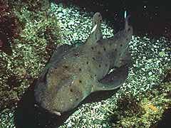 115 - poze muuuuuuuuuuuuuulte