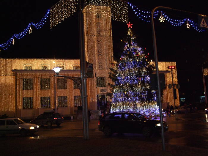 2008_1228Irina0055 - Craciun 2008