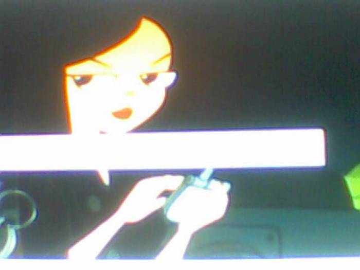 snapshot-137 - Pineas si Ferb