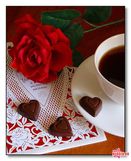 847104a6_0010000385709_00_600