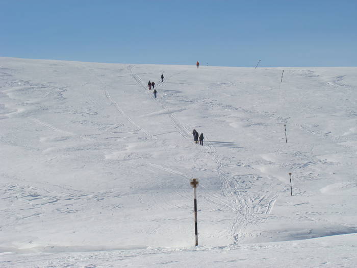 DSC01157 - Bucegi - Valea Izvorul Dorului-Padina