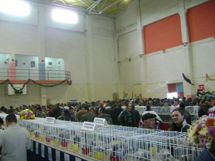 ucp08