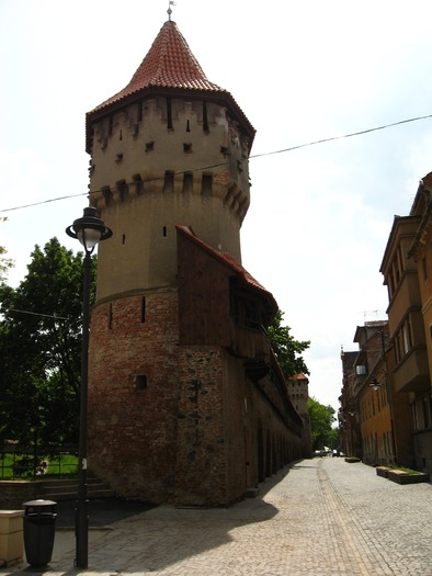 IMG_4626 - SIBIU - 18 mai 2008