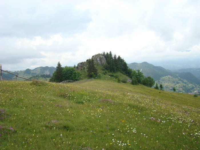 DSC03908 - Concediu 2009