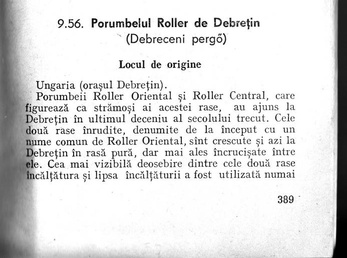 1 - standard roller de Debretin