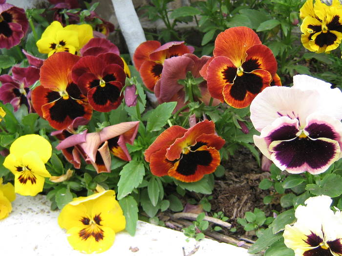 8 mai 021
