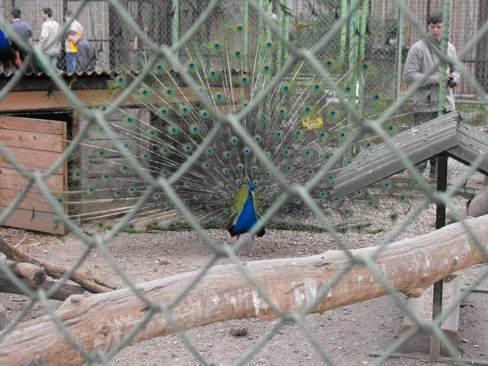 Picture 260 - Zoo 29-03-09