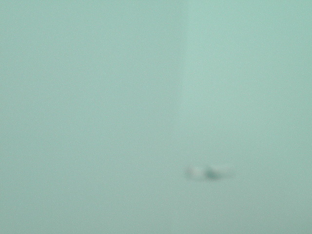 DSCN0423