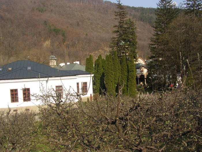 201