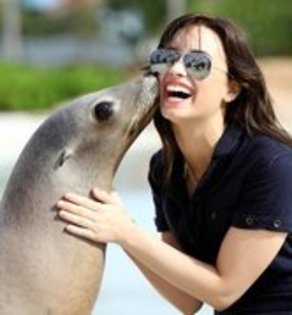 ZINOXFNZLQOHSJPGWEZ - demi lovato in bahamas joc cu delfinii si focile