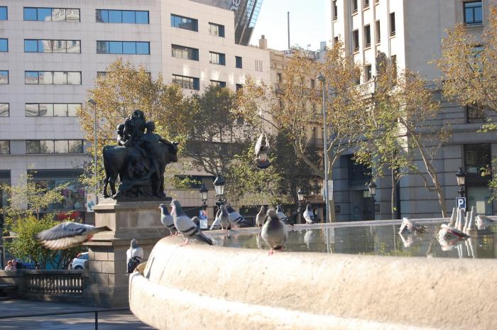 DSC_0015 - Placa de Catalunya