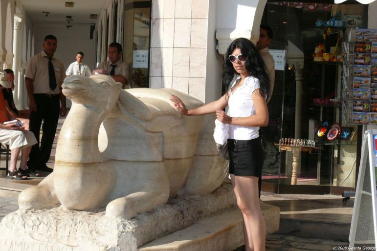 Tunisia_067 - Tunisia