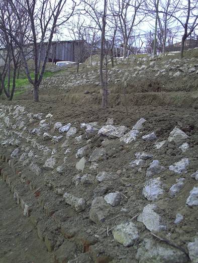 PICT0005 - GRADINA-2009