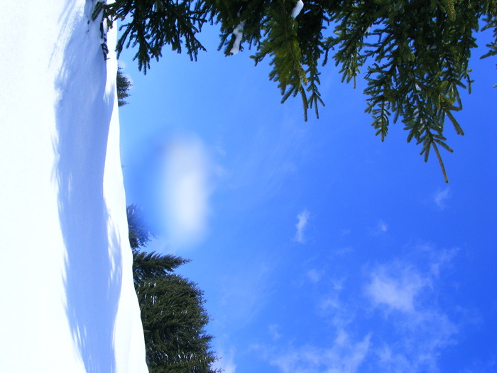 DSCF6935