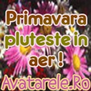 11 - poze avatar primavara