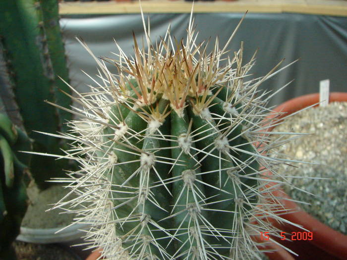 DSC05708
