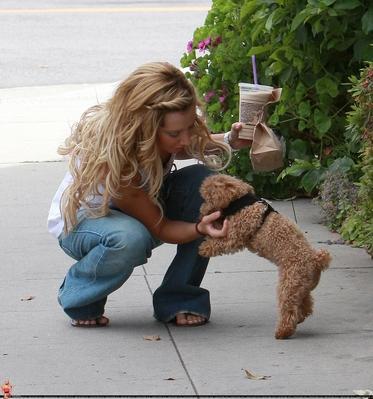 GFHXANTVPOUHKEEUHPA - ashley tisdale