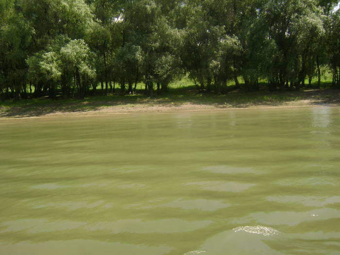 excursie delta dunarii 5062009 059 - EXCURSIE  in DELTA