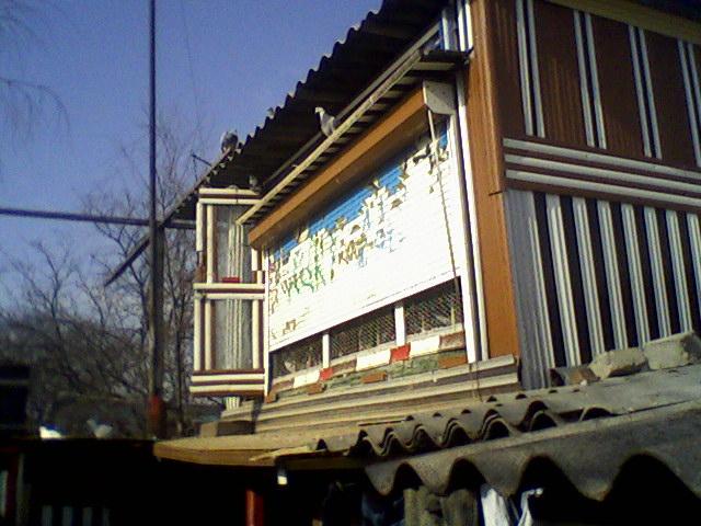 Fotografii-0010Ptagm - Copy (3)