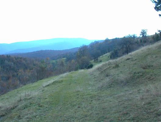 DSC00081 - vatza de jos