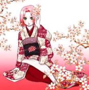 Sakura246 - sakura
