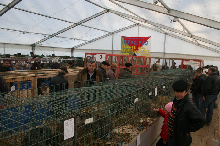 EXPO-PAS Suceava 2009 - EXPO PAS Suceava 2009