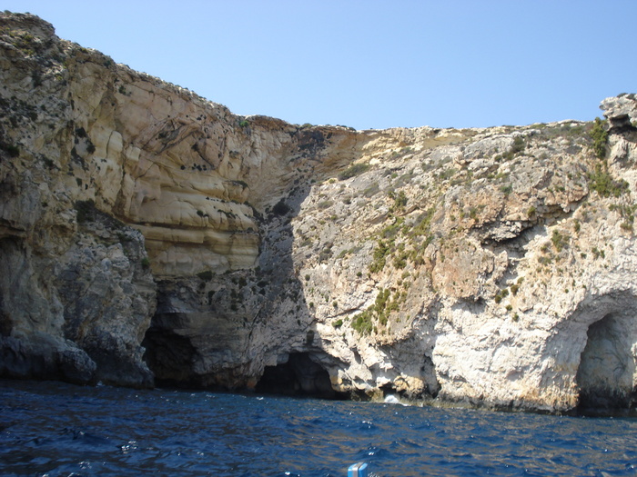 DSC04529