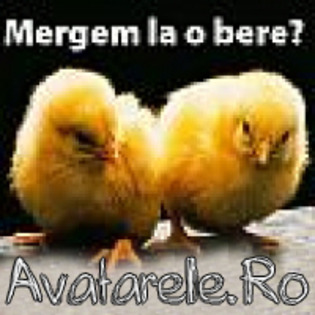 www_avatarele_ro__1203163819_837209 - Avatare