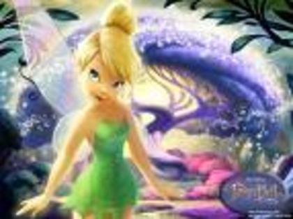 imagesCAAZD90O - tinkerbell wallpaper