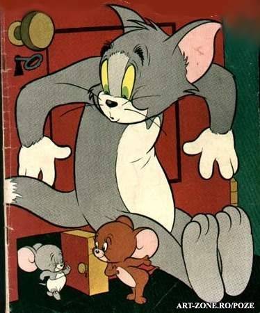 6050a[2] - poze Tom and Jerry