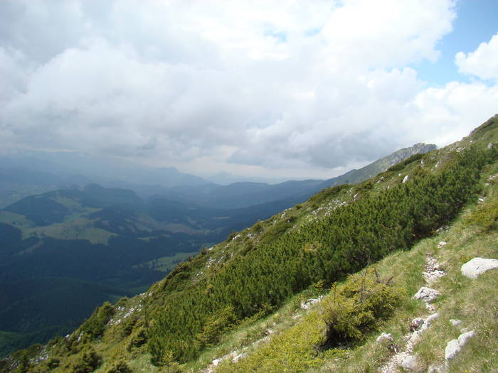 DSC03799 - Concediu 2009