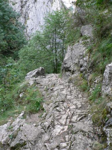 P100090